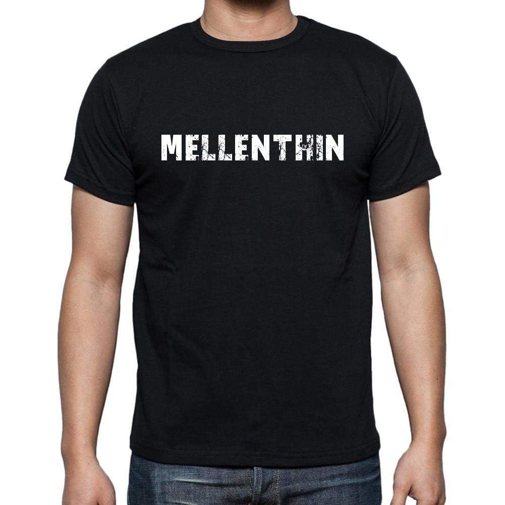 Mellenthin Mens Short Sleeve Round Neck T-Shirt 00003 - Casual
