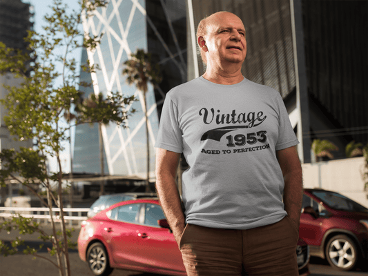 Vintage Aged to Perfection 1953, Grey, Men's Short Sleeve Round Neck T-shirt, gift t-shirt 00346