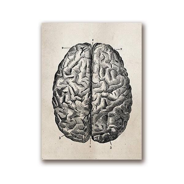 Human Anatomy Science Vintage Posters Art Prints , Medical Anatomy Canvas Painting Medical Doctor Clinic Wall Pictures Decor