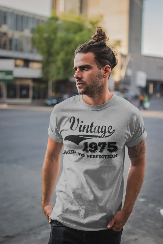 Vintage Aged to Perfection 1975, Gris, T-shirt à manches courtes et col rond pour hommes, t-shirt cadeau 00346
