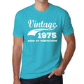 1975 Vintage Aged to Perfection, Blue, Men's Short Sleeve Round Neck T-shirt 00291