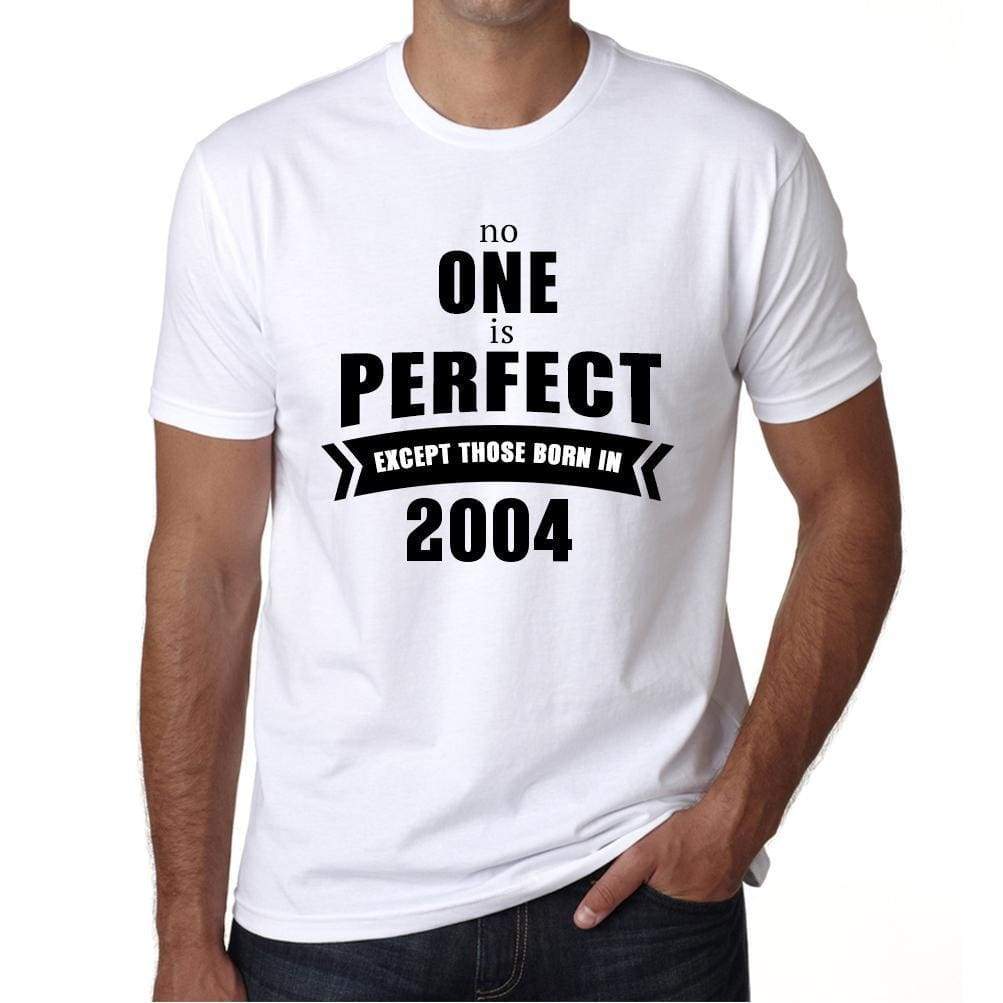 2004 No One Is Perfect White Mens Short Sleeve Round Neck T-Shirt 00093 - White / S - Casual