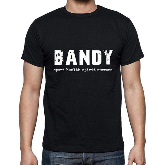 Bandy Sport-Health-Spirit-Success Mens Short Sleeve Round Neck T-Shirt 00079 - Casual
