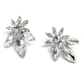 Boucles d'oreilles couleur argent et strass et pierres argentés cadeau