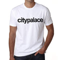 City Palace Tourist Attraction Men's Short Sleeve Round Neck T-shirt 00071