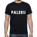 palekh ,Men's Short Sleeve Round Neck T-shirt 00004