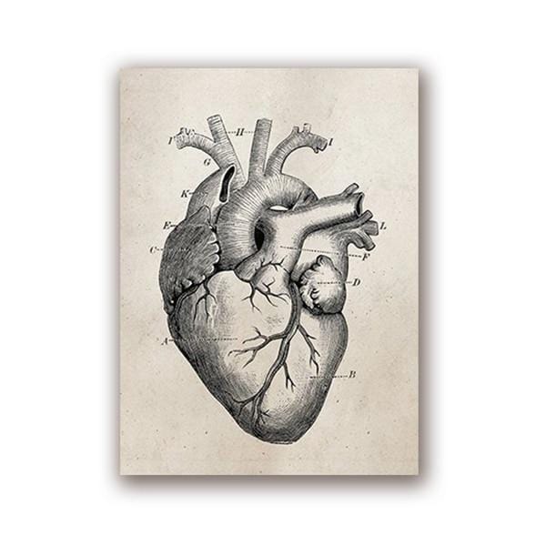 Human Anatomy Science Vintage Posters Art Prints , Medical Anatomy Canvas Painting Medical Doctor Clinic Wall Pictures Decor