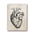 Human Anatomy Science Vintage Posters Art Prints , Medical Anatomy Canvas Painting Medical Doctor Clinic Wall Pictures Decor