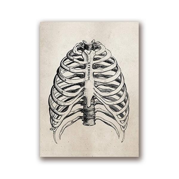 Human Anatomy Science Vintage Posters Art Prints , Medical Anatomy Canvas Painting Medical Doctor Clinic Wall Pictures Decor