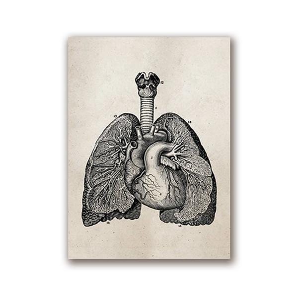 Human Anatomy Science Vintage Posters Art Prints , Medical Anatomy Canvas Painting Medical Doctor Clinic Wall Pictures Decor