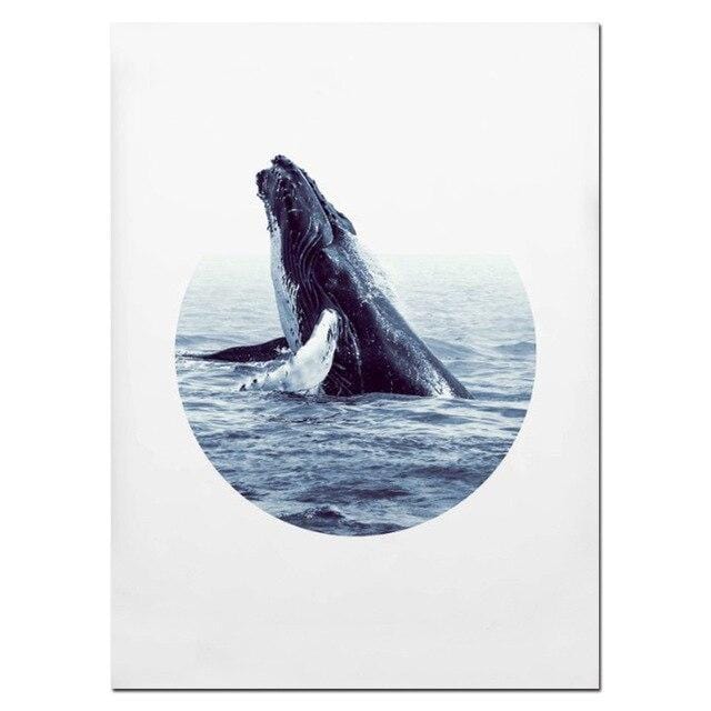 NUOMEGE Modern Poster Whale Wall Art Print Coastal Art Decor Humpback Beluga Canvas Painting Decorative Picture for Living Room