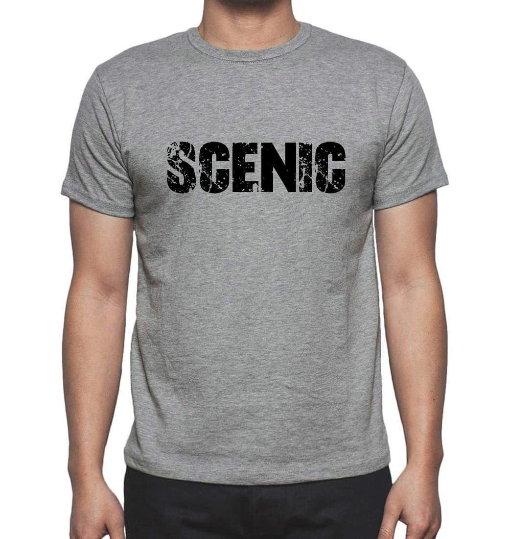 Scenic Grey Mens Short Sleeve Round Neck T-Shirt 00018 - Grey / S - Casual