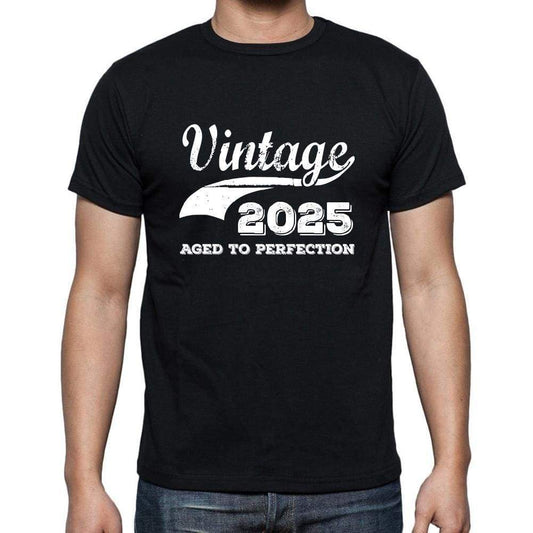 Vintage 2025 Aged To Perfection Black Mens Short Sleeve Round Neck T-Shirt 00100 - Black / S - Casual