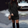 Women Winter Warm Round Neck Long Sleeve Mini Dress Party Sweatshirt Dress
